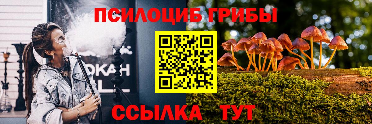 Галлюциногенные грибы Cubensis Минеральные Воды