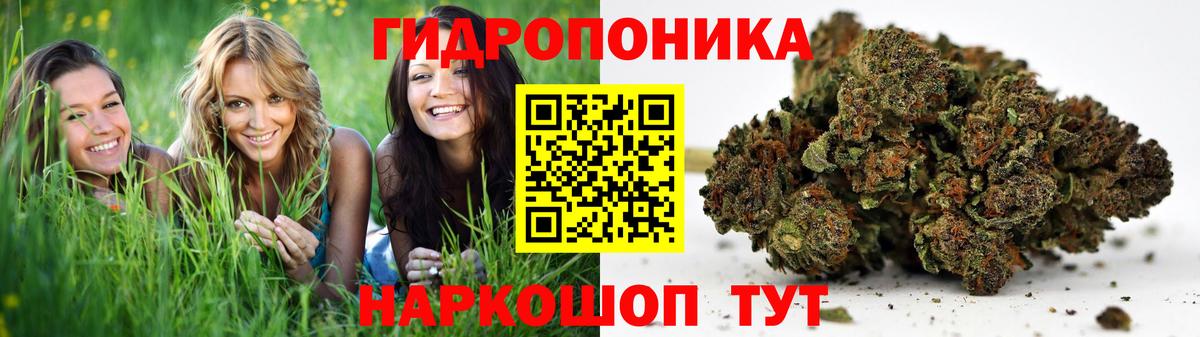 Шишки марихуана VHQ Минеральные Воды